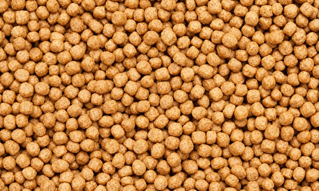 Fish Feed