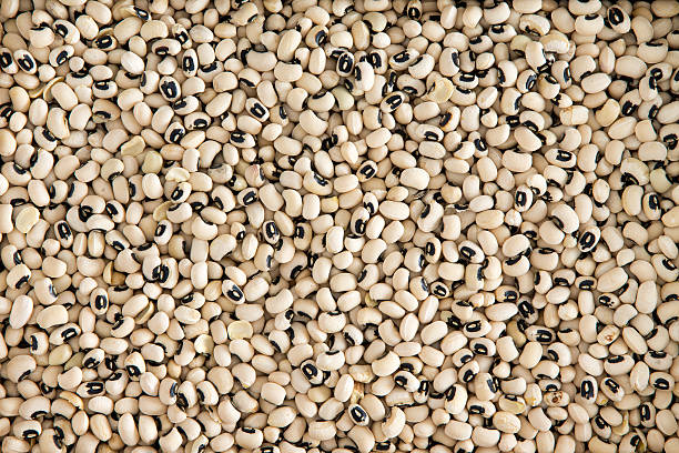 Cowpeas