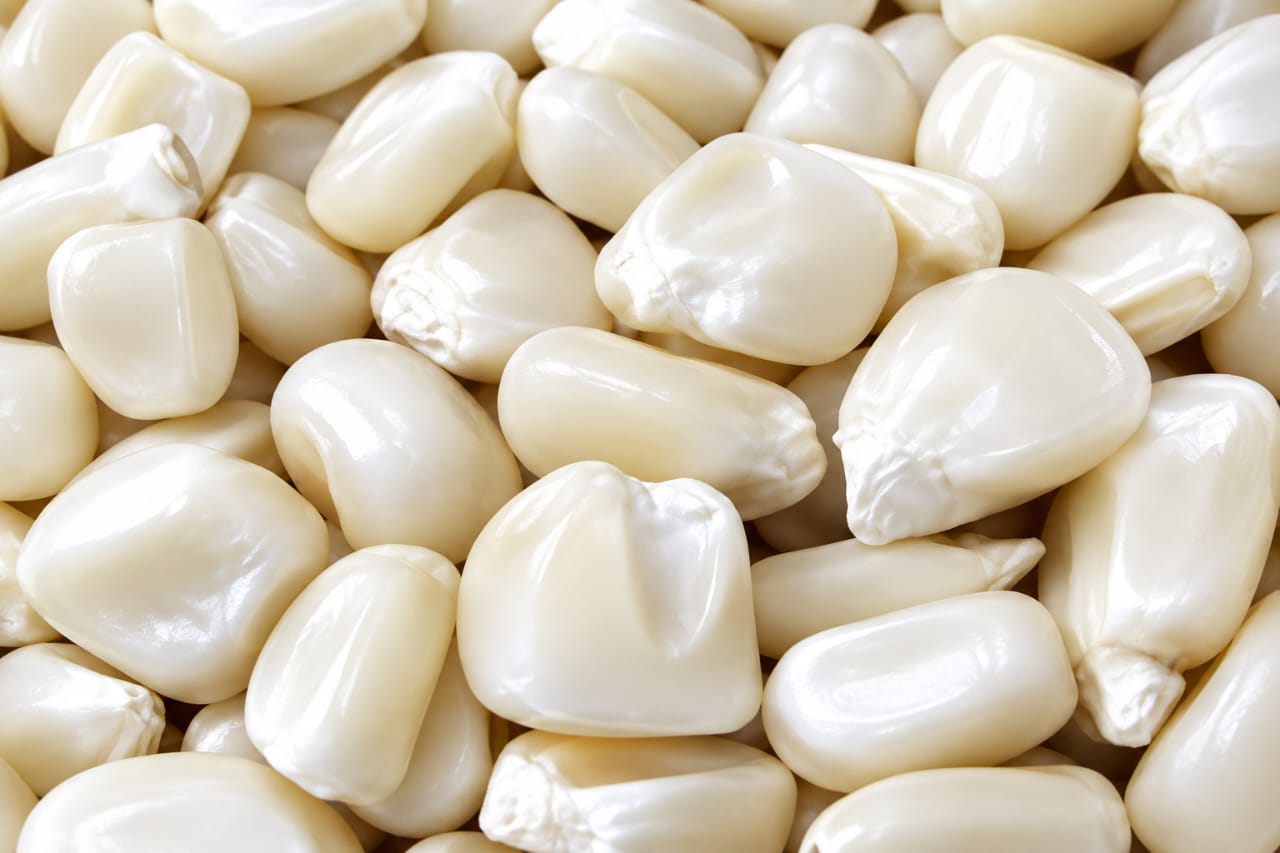 White Maize